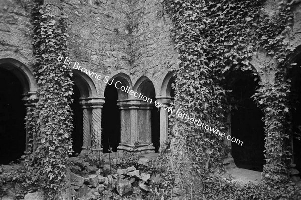 QUINN ABBEY  NORTH EAST CORNER OF CLOISTERS